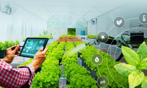 The Importance of Technology in Agriculture