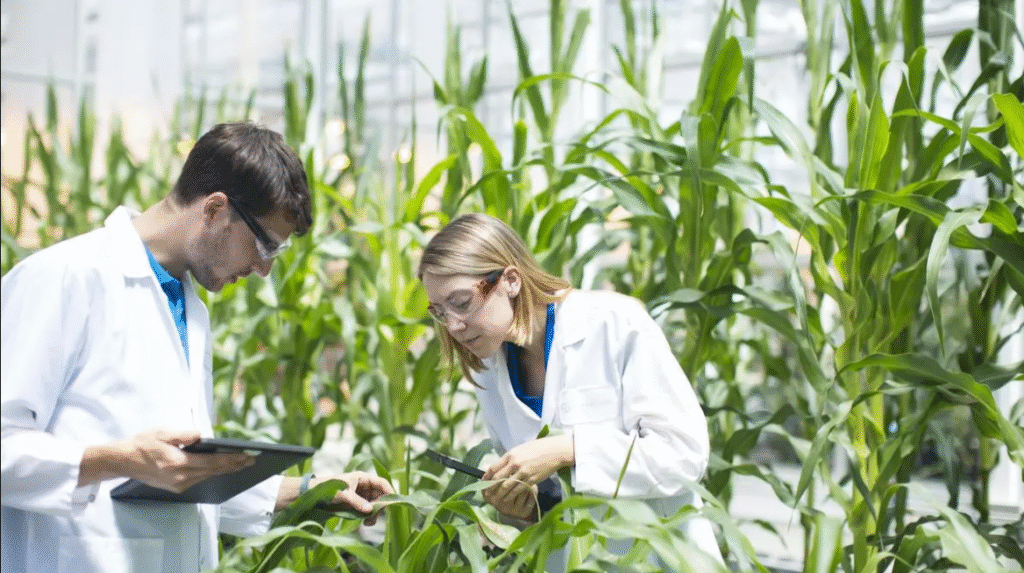 Understanding Agricultural Biotechnology